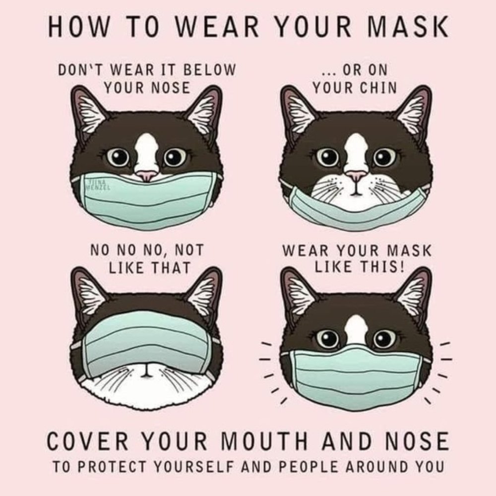 Looney Tunes Face Mask BRANDππ· ποΈ π· - Picture 13 of 16